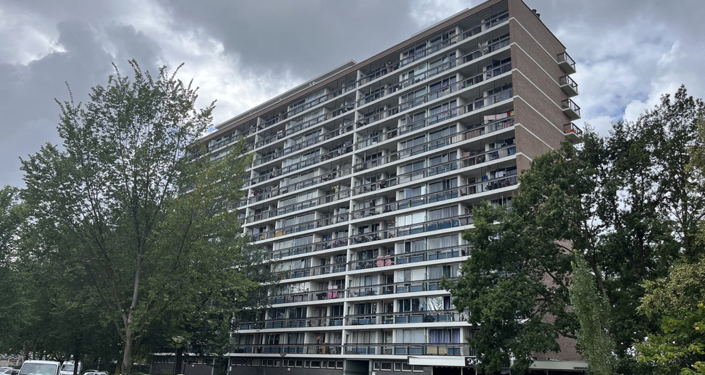 Canvas-Ontwikkeling-7